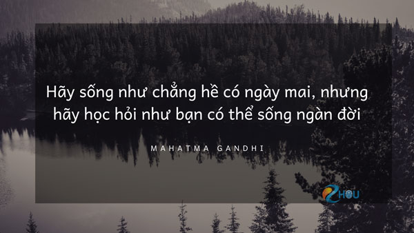 học hỏi