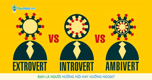 top-10-cong-viec-danh-cho-nguoi-huong-noi