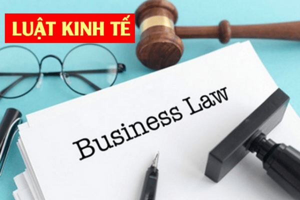 Top các trường đào tạo luật kinh tế tốt nhất tại Việt Nam