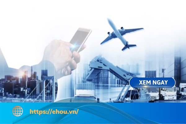 nên học logistics hay thương mại điện tử