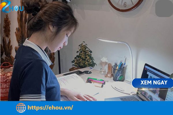 Đại học từ xa: Bạn Bận Rộn Nhưng Vẫn Muốn Có Bằng Đại Học?