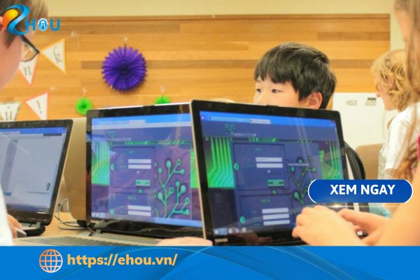 Lộ Trình Học Lập Trình Cho Người Mới Bắt Đầu