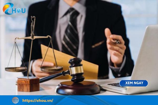 Ngành Luật Kinh Tế Trong Kỷ Nguyên Hội Nhập: Những Thuận Lợi Và Khó Khăn 