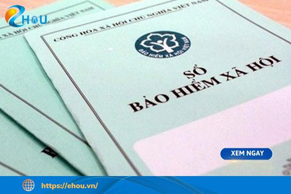 Đóng BHXH 6 năm, làm sao để được hưởng lương hưu? “Giải mã” chi tiết các lựa chọn an sinh của bạn